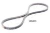 ASHIKA 109-WA930 V-Belt